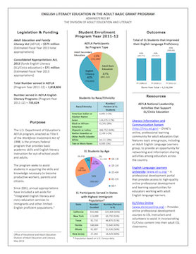 English Literacy Education in the Adult Basic Grant Program
